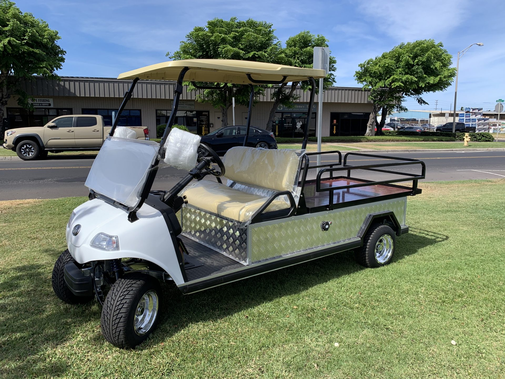 2020 Turfman 1000 110ah Lithium | Golf Cart Maui